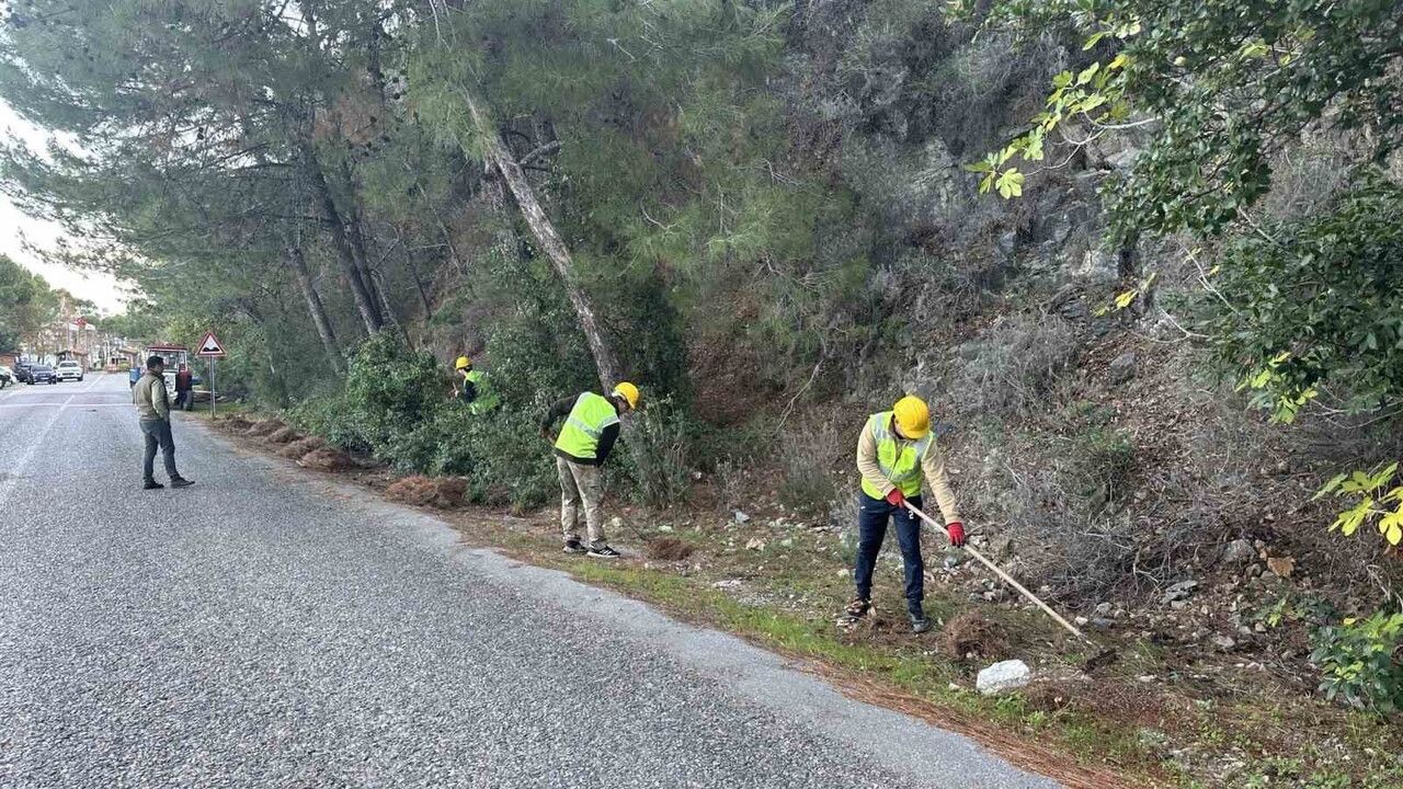 Dilek Yarımadası Milli Parkı'nda yangın riskini azaltma çalışmaları sürüyor