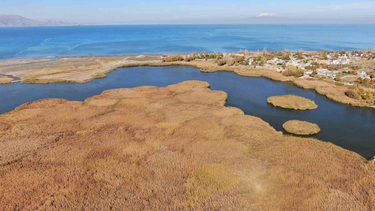 Dilkaya Deltası'nda Sonbaharın Renkleri: Van Gölü'nde Kartpostallık Manzaralar
