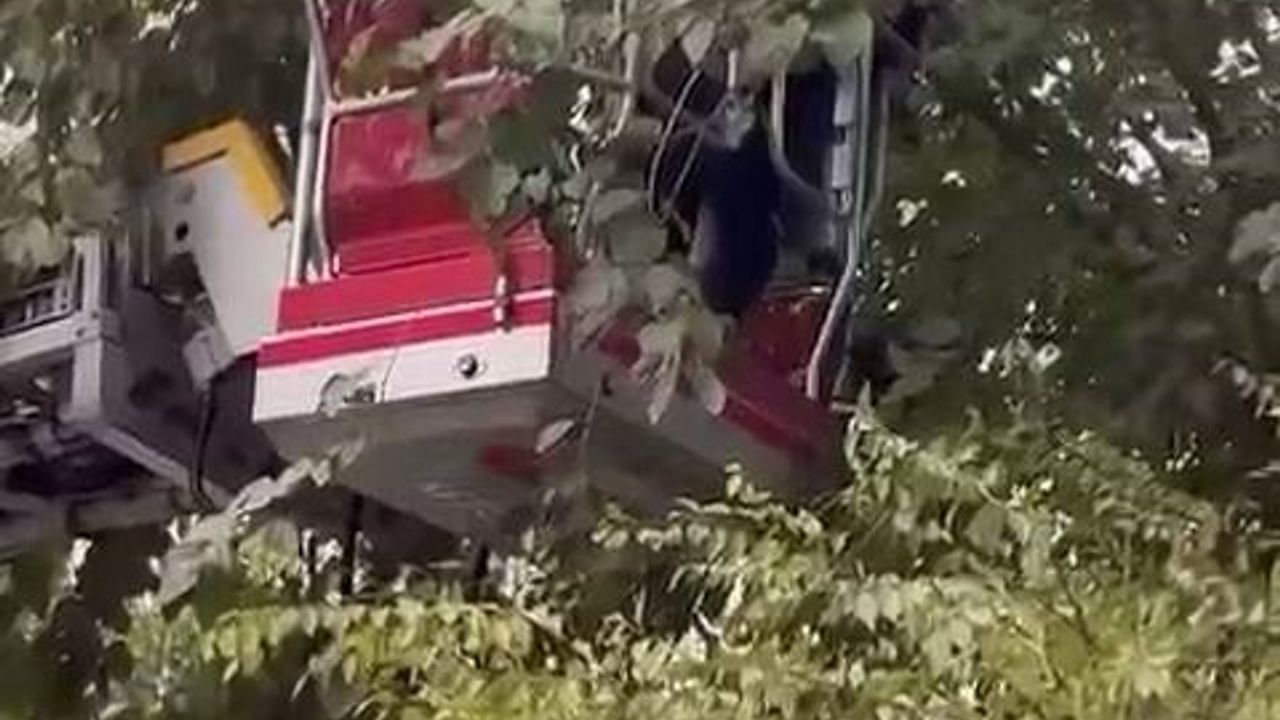 Diyarbakır Bağlar'da Ağaçta Mahsur Kalan Kedi İtfaiye Tarafından Kurtarıldı