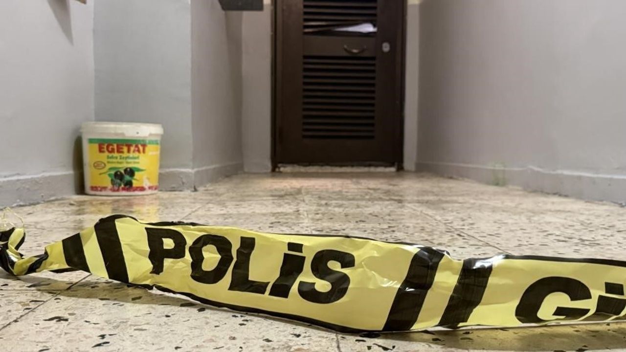 Diyarbakır'da anne ve ağabeyini öldüren şüphelinin geçmişinde halüsinasyon ve tehdit iddiaları