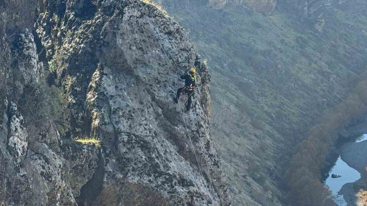 Diyarbakır Eğil'de kayalıklarda mahsur kalan 25 keçi itfaiye tarafından kurtarıldı