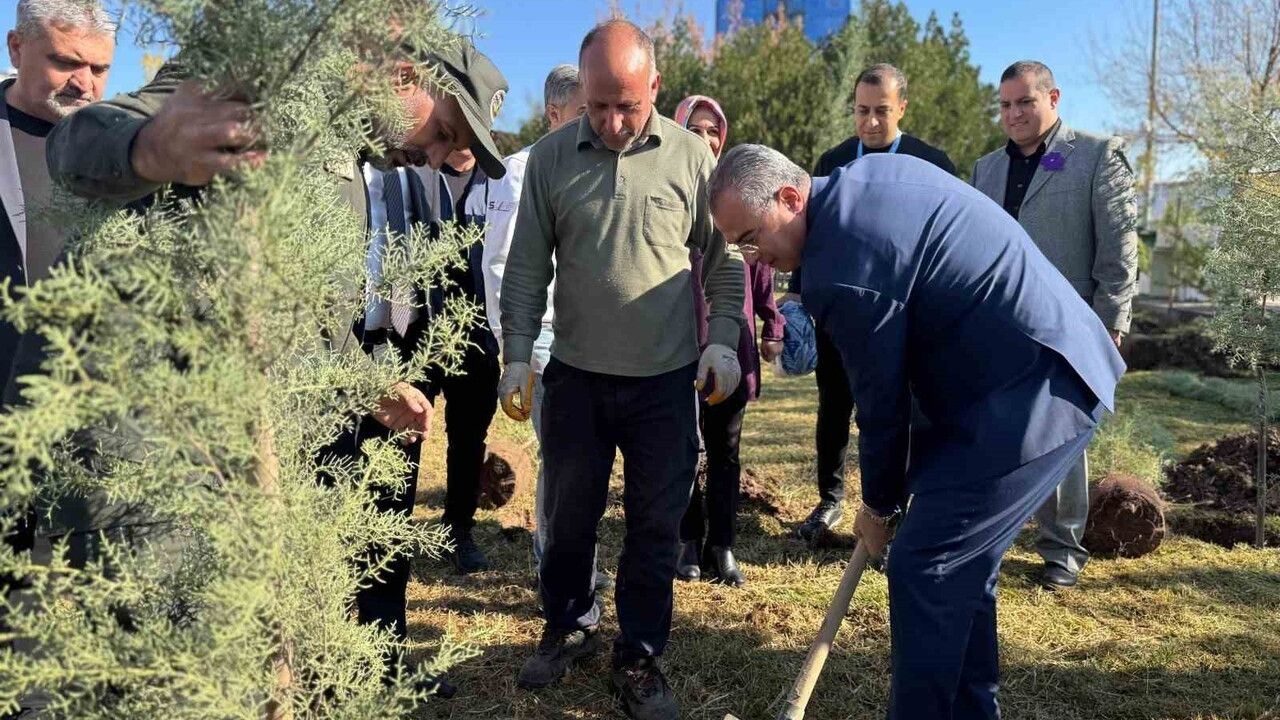 Diyarbakır Gazi Yaşargil Hastanesi'nde 17 Kasım Dünya Prematüre Günü etkinliği