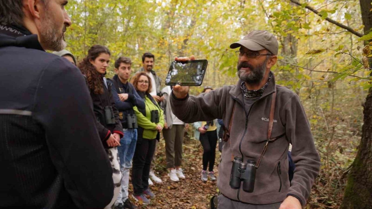 Doğa Turizminde Kocaeli İmzası: Ormanya 2 milyon 230 bin 970, Kuzuyayla 50 bin ziyaretçi