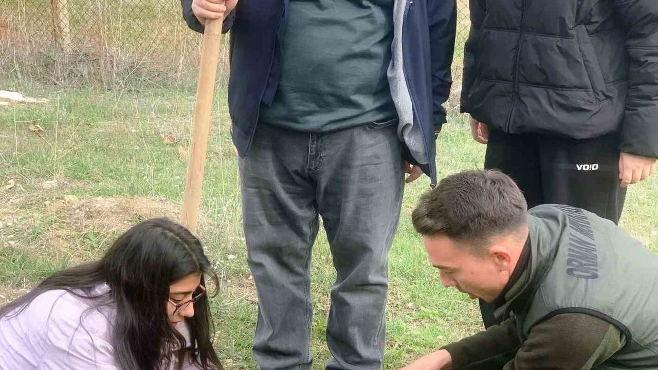 DPÜ Emet MYO'da fidan dikim etkinliği: 100 sedir, 60 karaçam toprakla buluşturuldu