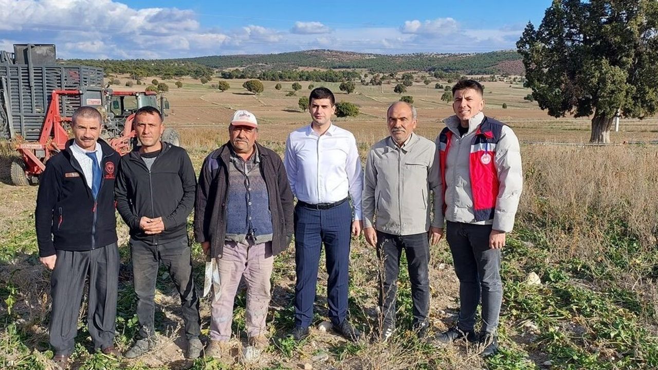 Dumlupınar Kaymakamı Alperen Teltik, Eyidemir Köyü'nde şeker pancarı hasadını inceledi