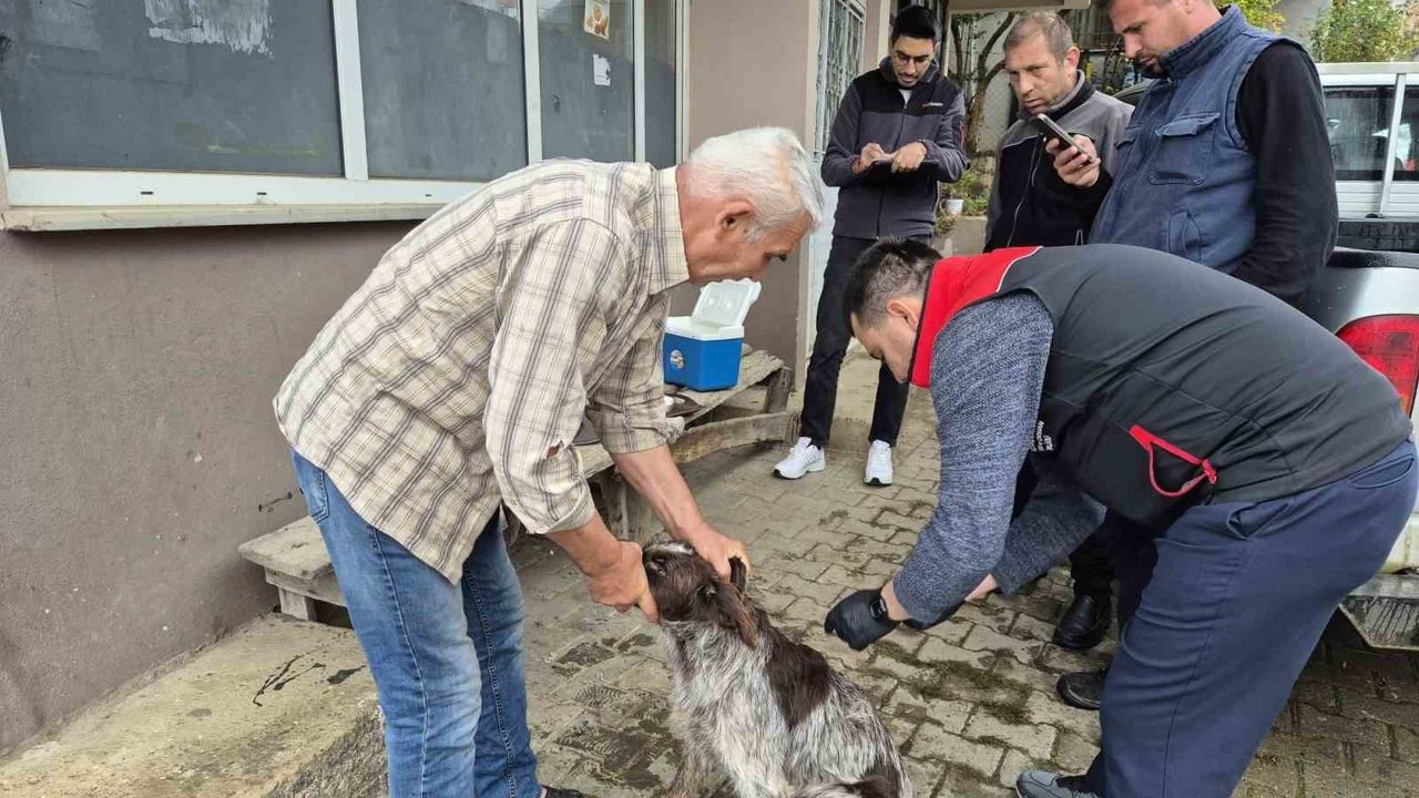 Düzce Akçakoca’da kedi ve köpeklerin dijital kimliklendirme çalışmaları sürüyor — son tarih 31 Aralık 2025