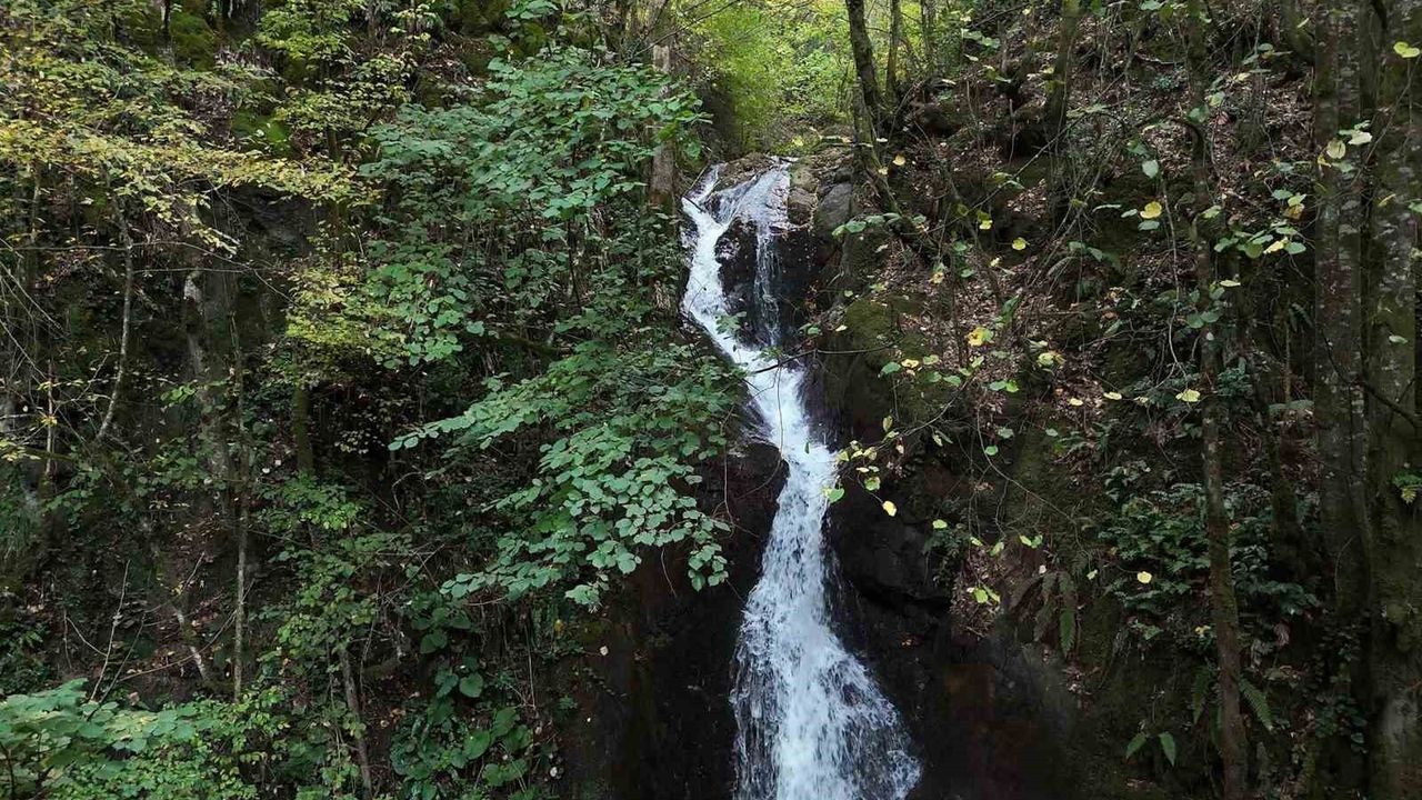 Düzce Aydınpınar Şelalesi Tabiat Parkı: İki Şelale, Yürüyüş Rotaları ve Konaklama İmkanları