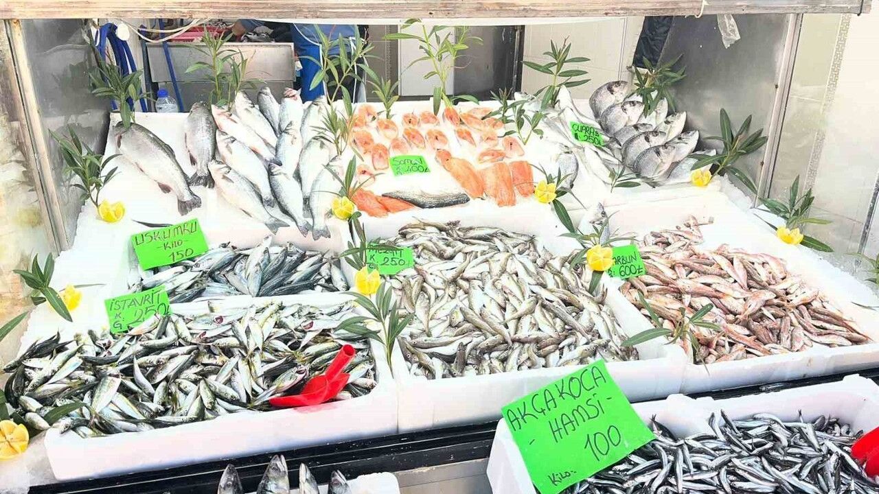 Düzce'de balık bolluğu: Hamsi fiyatları 100-150 TL'ye geriledi, tüketim arttı