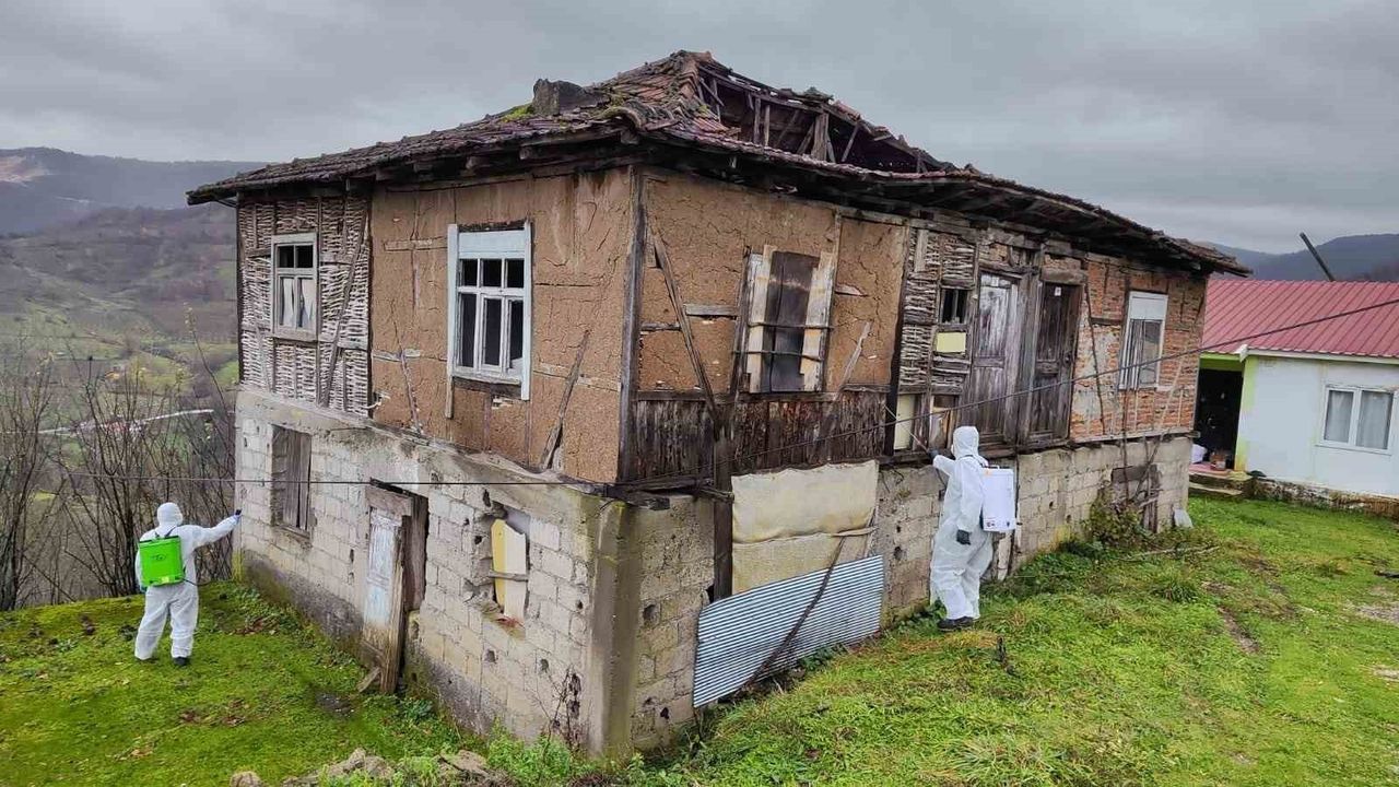 Düzce'de kahverengi kokarca ile mücadele sürüyor: 161 köy ve 24 bin 138 hanede kışlak ilaçlaması