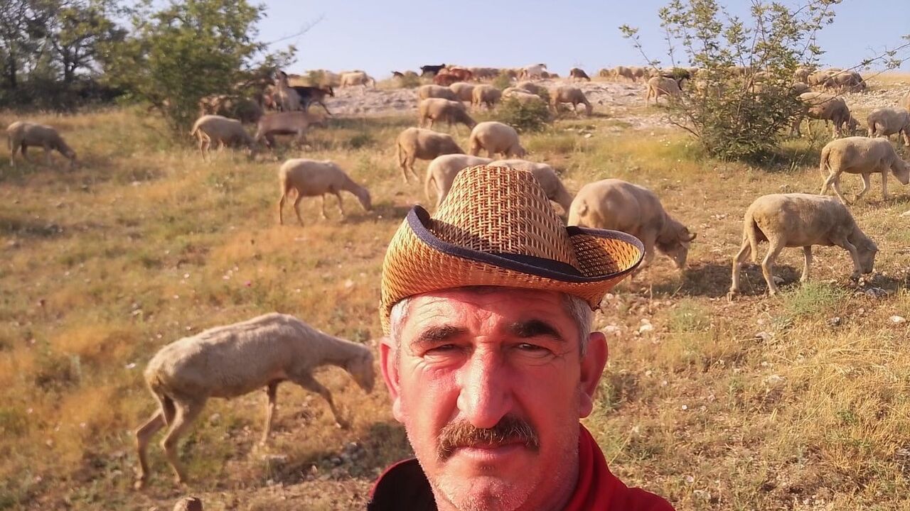 Edirne'de çoban sıkıntısı: Aylık 50 bin TL'ye rağmen çalışan bulunamıyor