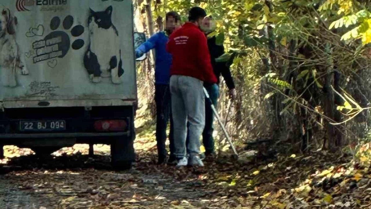 Edirne'de sokak hayvanları toplama uygulamaları kamuoyunda tepki topladı