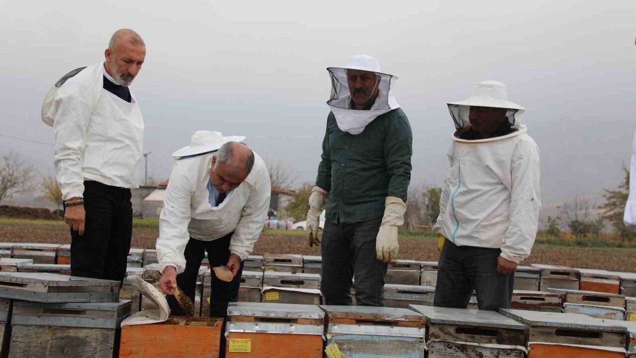 Elazığ'da Geven Balı Kovanları İncelendi: Kış Hazırlıkları ve Koloni Kontrolleri