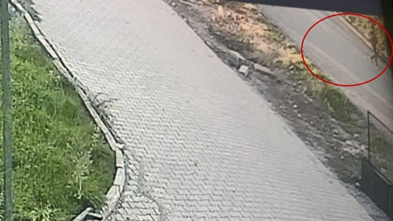 Elazığ'da Kayıp Otizmli 11 Yaşındaki Veysel Bilen İçin Arama Çalışmaları Sürüyor
