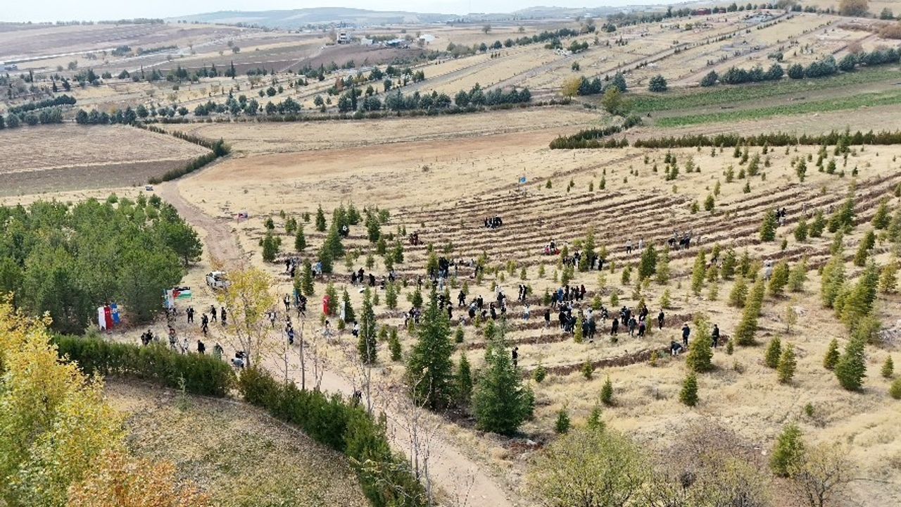 Elazığ'da Öğrencilerden Doğu Türkistan ve Filistin İçin Fidan Dikme Etkinliği