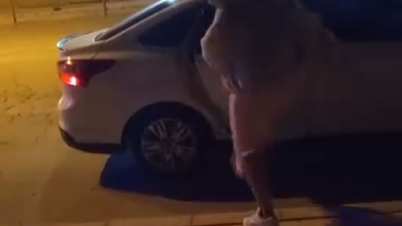 Elazığ'da tartışma sonrası kadın, otomobile zarar verdi