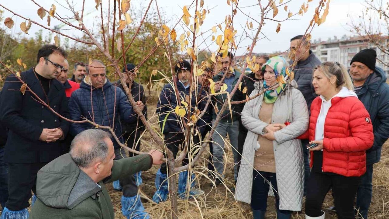 Elazığ’de Meyve Ağaçlarında Budama ve Aşılama Eğitimi Tamamlandı