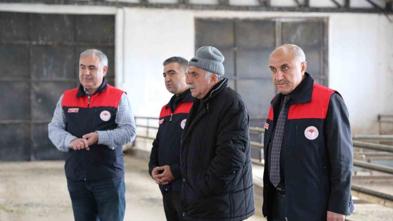 Elazığ Kovancılar Ekinözü'nde devlet desteğiyle 120 başlık küçükbaş çiftliği açıldı