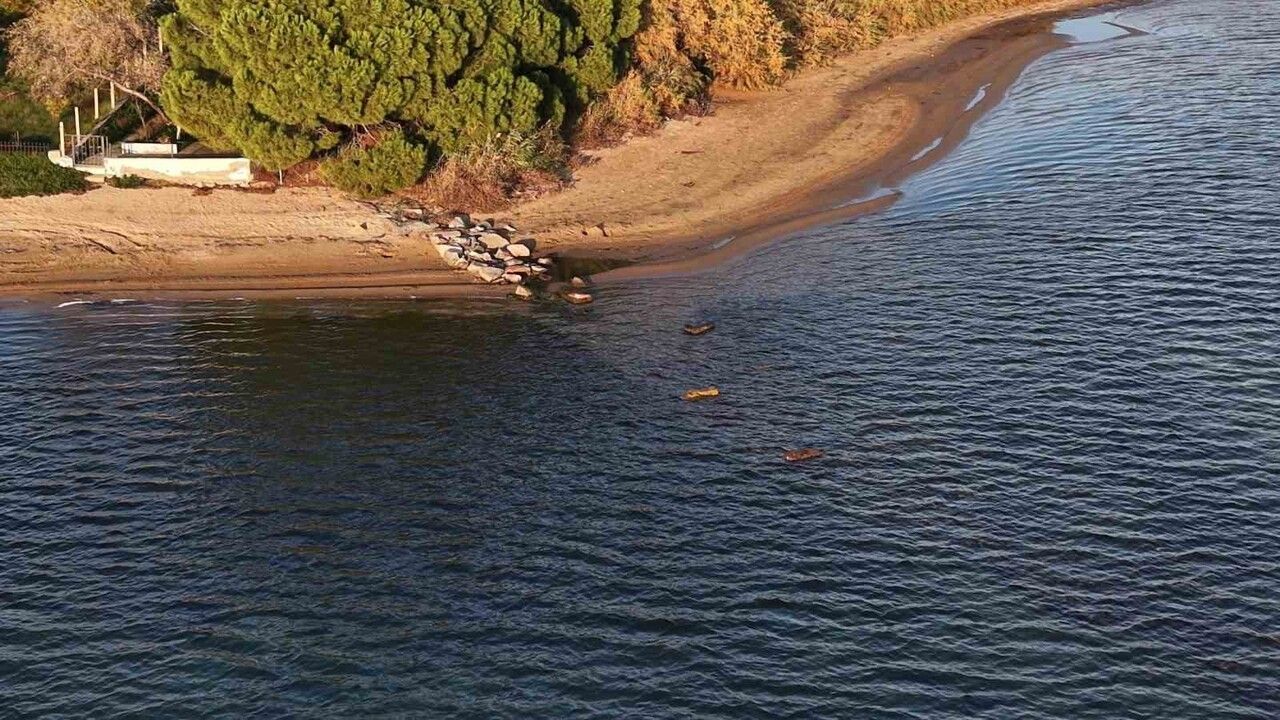 Erdek Düzler Sahili'nde Deniz Çekilmesi: Hytos Antik Limanı Taşları Gün Yüzüne Çıktı