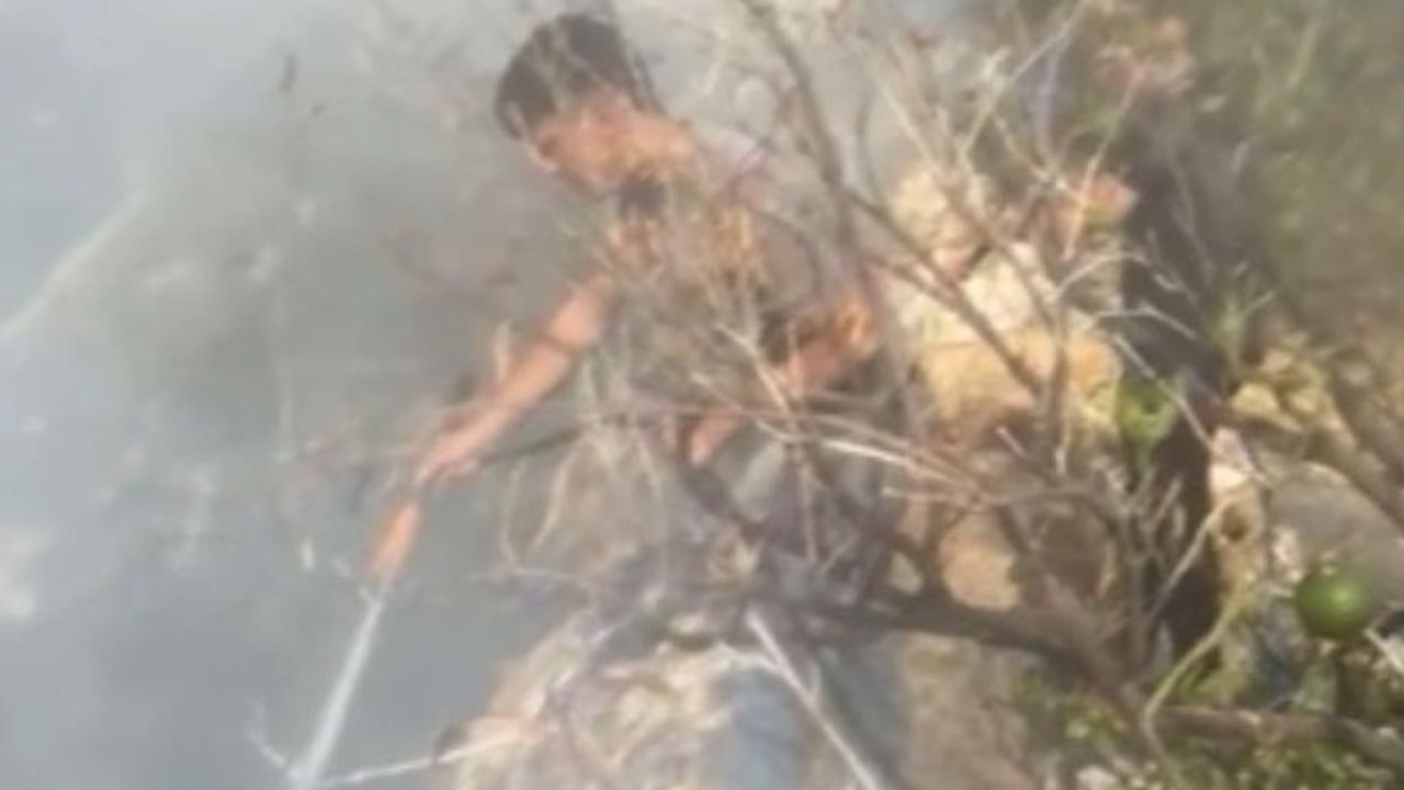 Erdemli'de makilik yangını kontrol altına alındı; narenciye bahçelerine sıçramadan söndürüldü