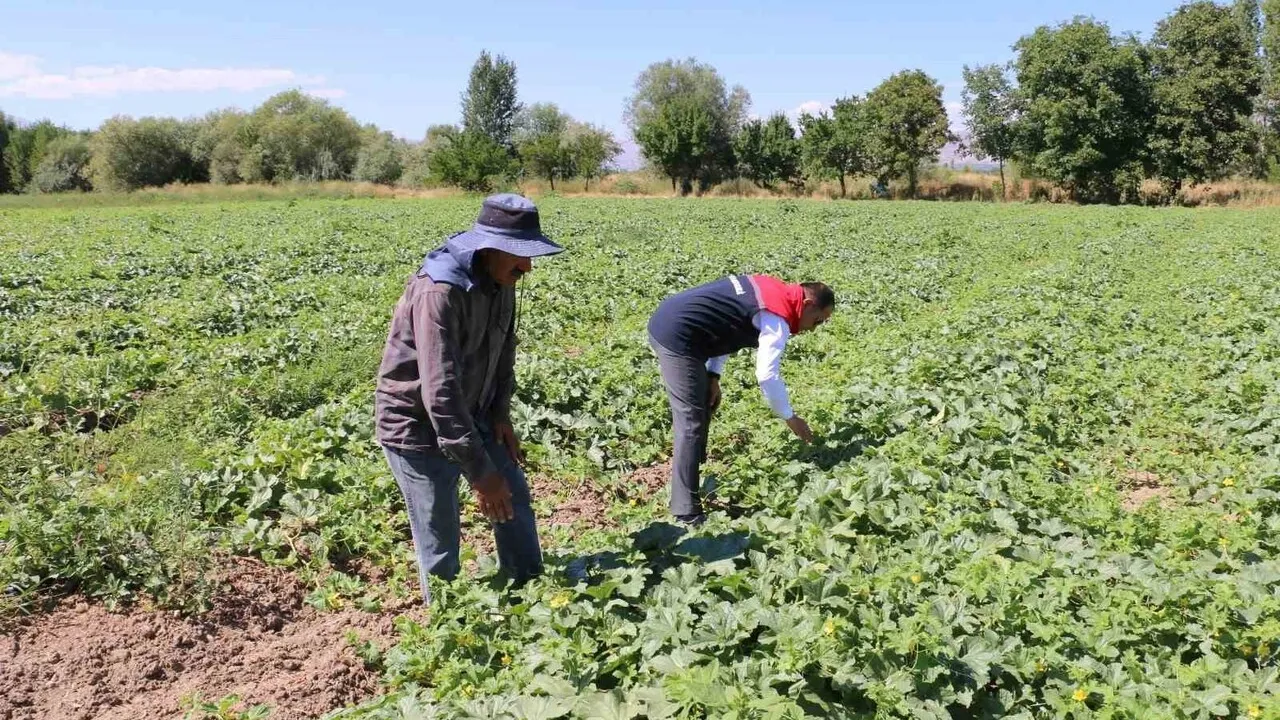 Erzincan'da 2026 üretim yılı ÇKS başvuruları 31 Aralık 2025'te sona erecek