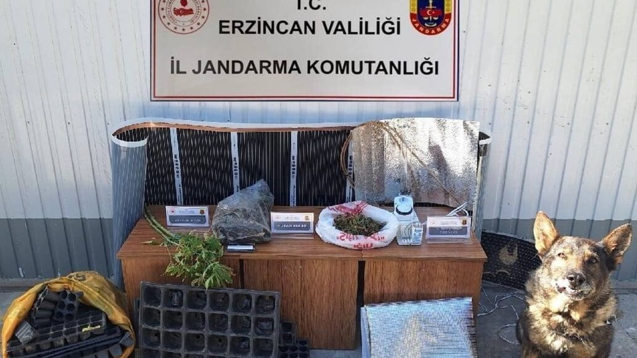 Erzincan Jandarma Kasım 2025 bilançosu: 124 olayın yüzde 93'ü aydınlatıldı