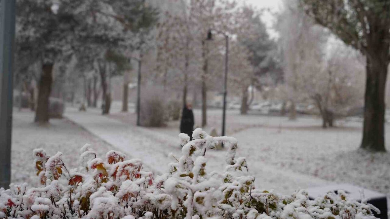 Erzurum güne sis ve kırağıyla başladı — Meteoroloji 12. Bölge Müdürlüğü'nden buzlanma ve don uyarısı