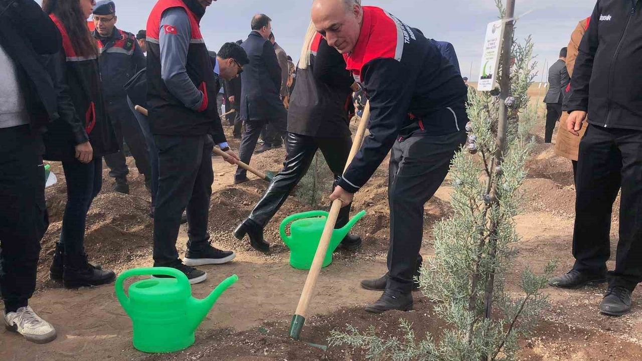 Eskişehir'de 11 Kasım Milli Ağaçlandırma Günü'nde 20 bin fidan dikildi