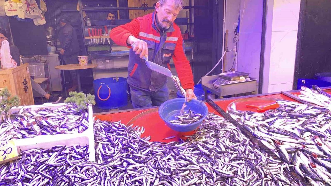 Eskişehir'de hamsi 100 TL'ye düştü, palamut cep yakıyor