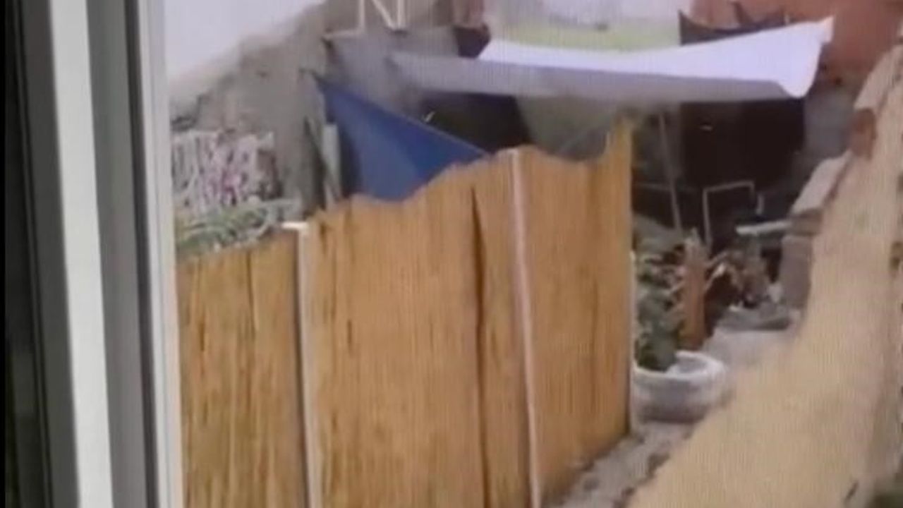 Eskişehir'de köpeğe eziyet iddiası: Y.Z.T. yakalandı