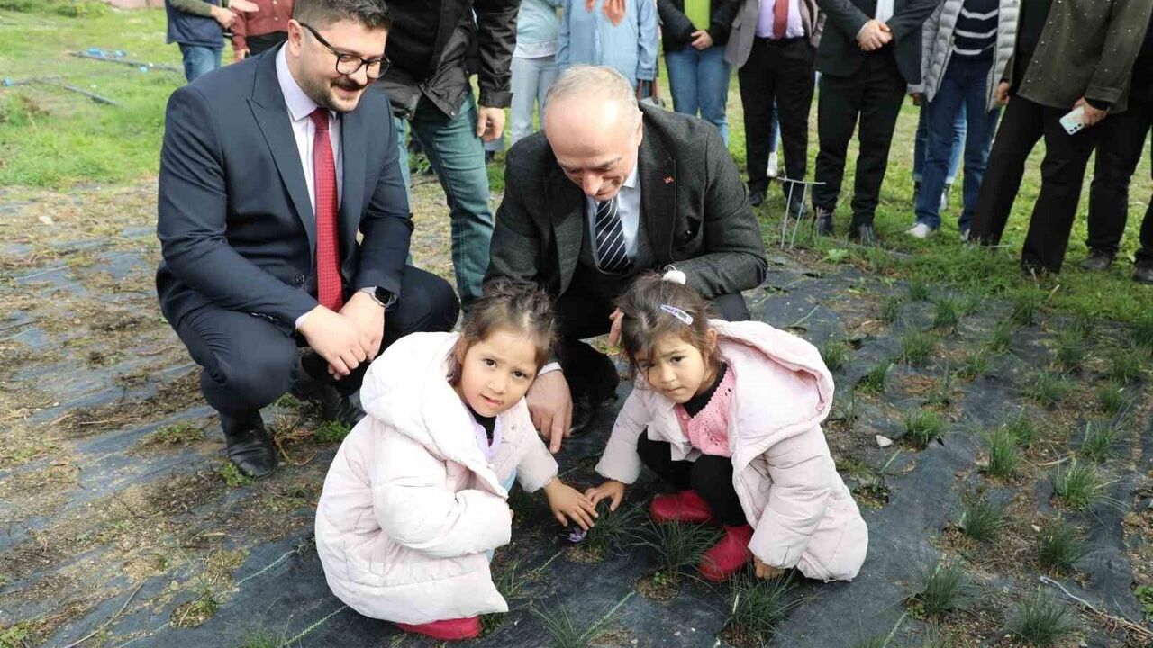 Eskişehir, 'Eskişehirli Hanımlar Safran Üretiyor' Projesiyle Safran Üretiminde İvme Kazanıyor