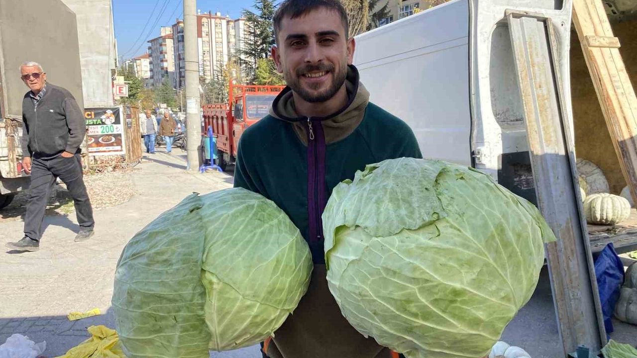 Eskişehir pazarında 11 kiloya varan lahanalar talep görüyor