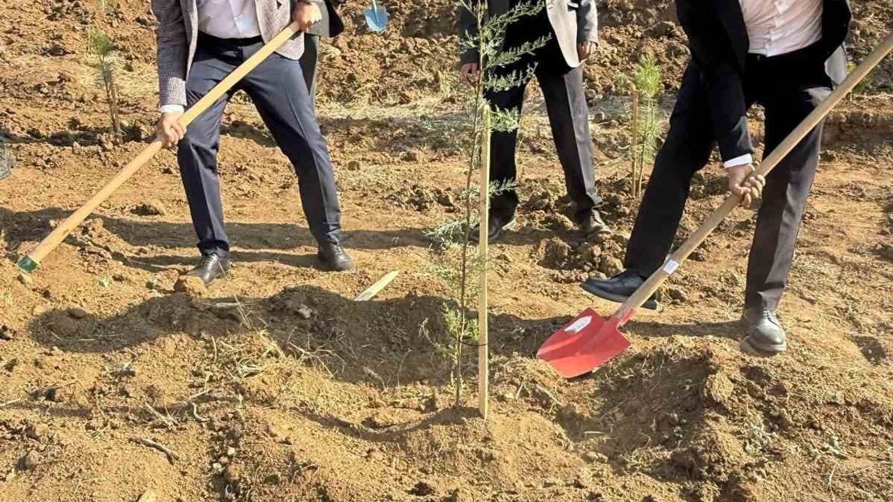Evren'de 11 Kasım Milli Ağaçlandırma Günü'nde 'Geleceğe Nefes' Fidan Dikimi