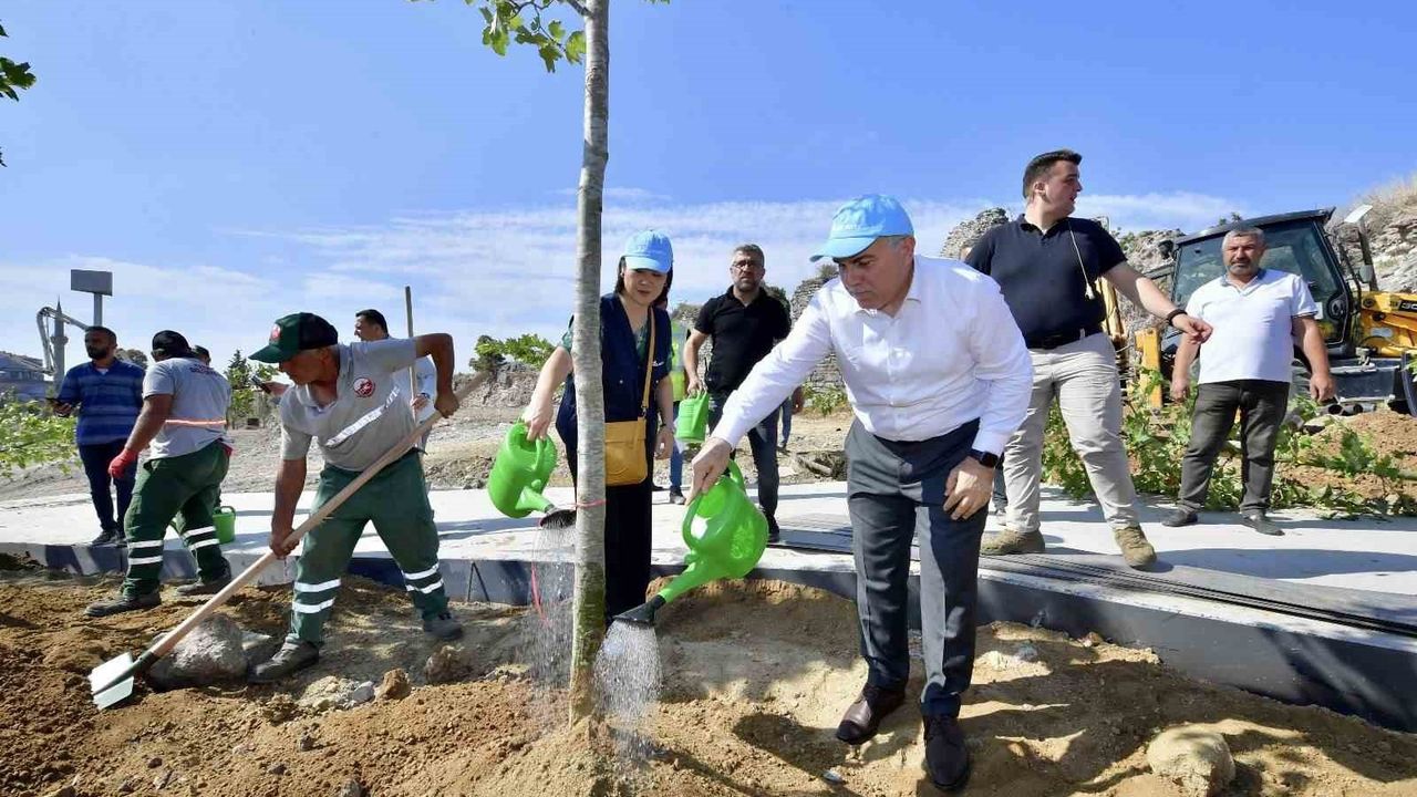 Fatih’te 'Yeşil Fatih' Seferberliği: 2 bin 500 Yetişkin Ağaç Toprakla Buluştu