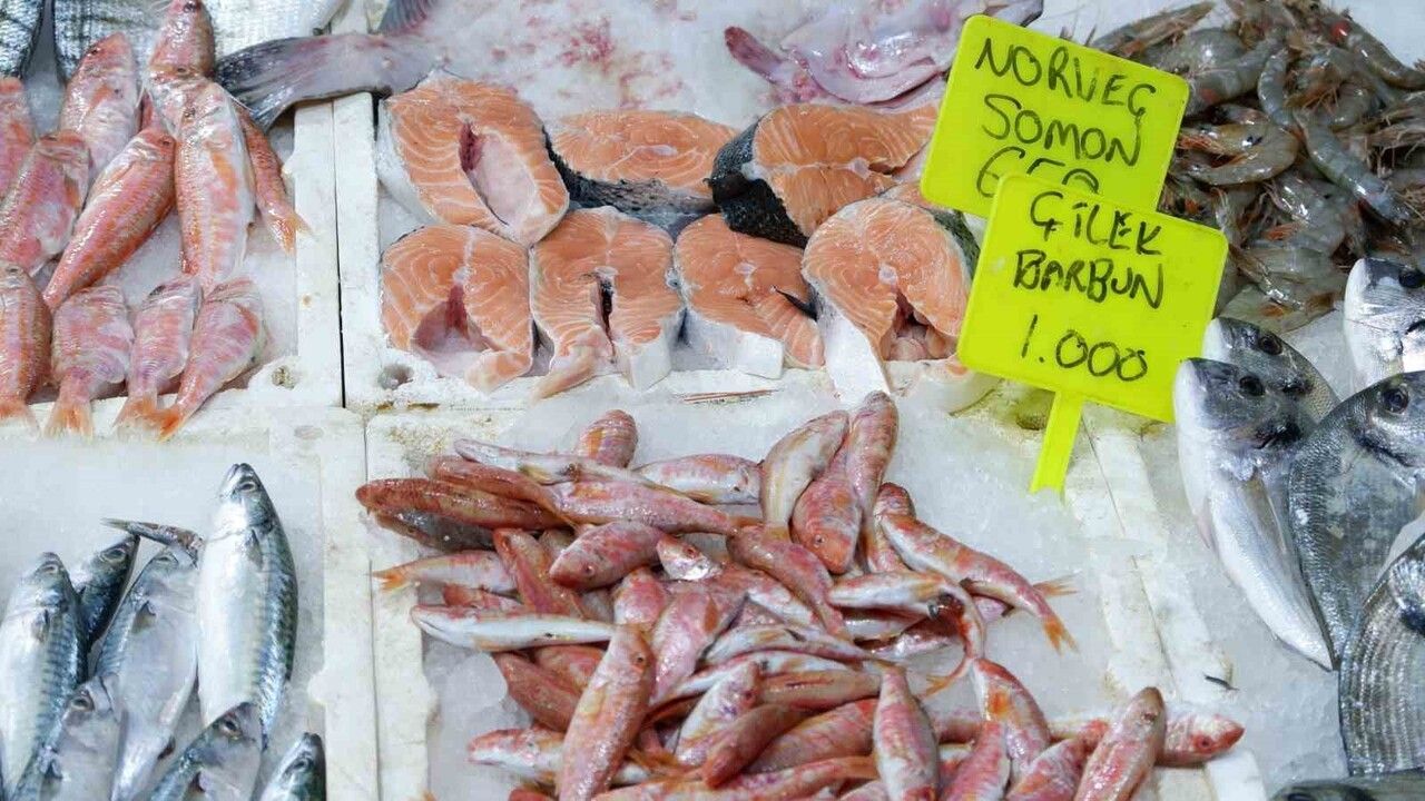 Foça Balık Hali'nde kış sezonu: Sardalya ve uskumru zamanı