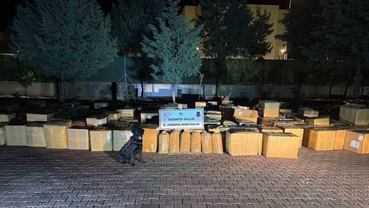 Gaziantep'in Araban ilçesinde 7 ton 100 kilogram gümrük kaçağı tütün ele geçirildi; 1 gözaltı