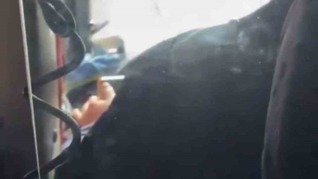 Gaziantep'te halk otobüsü şoförünün direksiyon başında video izlemesi tepki çekti