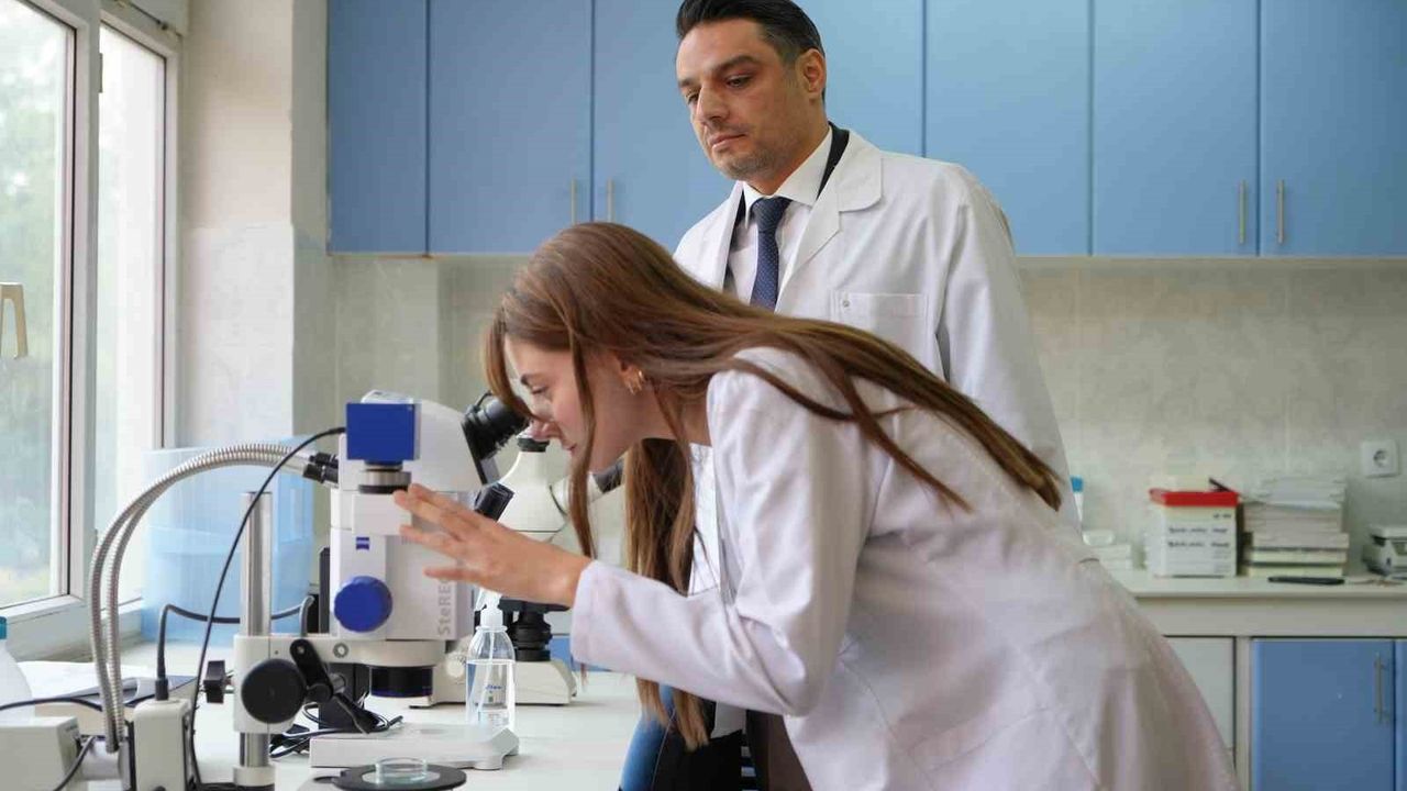 Gaziantep'te kuraklığın ardından 'üvez' istilası: Antep fıstığı psilidi şehir merkezlerini rahatsız ediyor