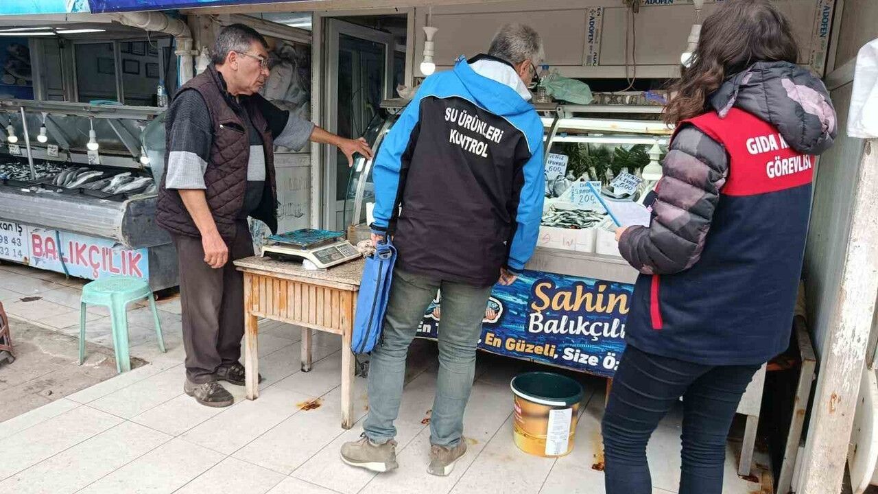 Gelibolu'da balık satış noktalarında kapsamlı denetim
