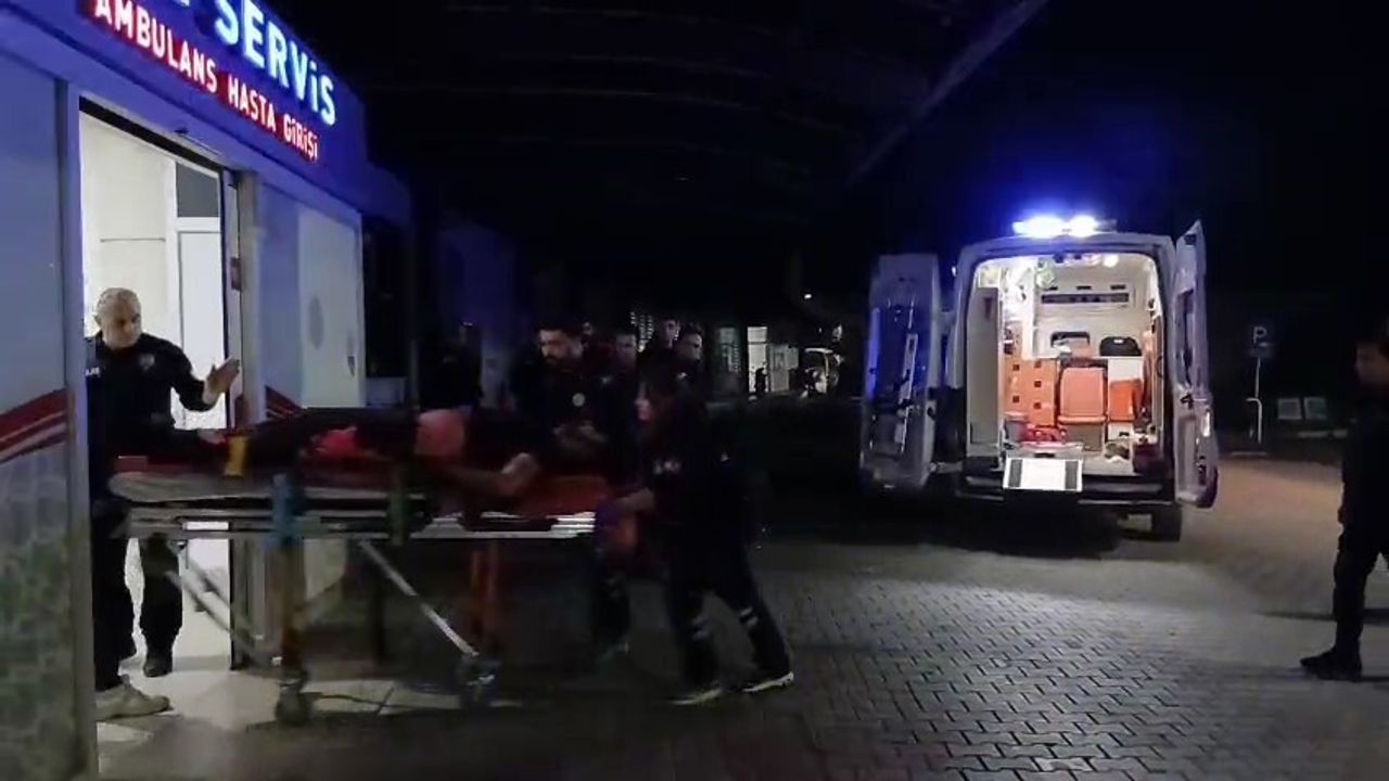 Gemlik'te zeytinlikte bıçaklı saldırı: 1 ağır yaralı, şüpheli yakalandı