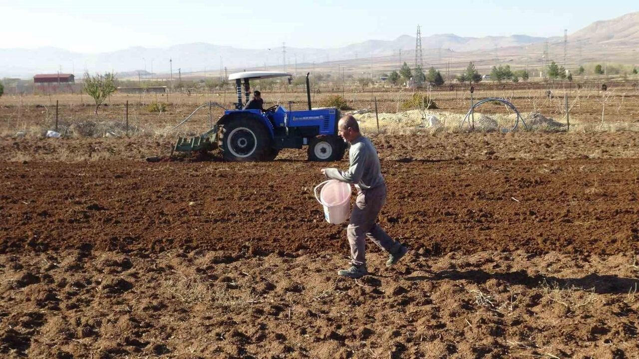 Gercüş'te çiftçiler kış ekimine başladı: buğday, arpa ve mercimek tohumları toprağa verildi
