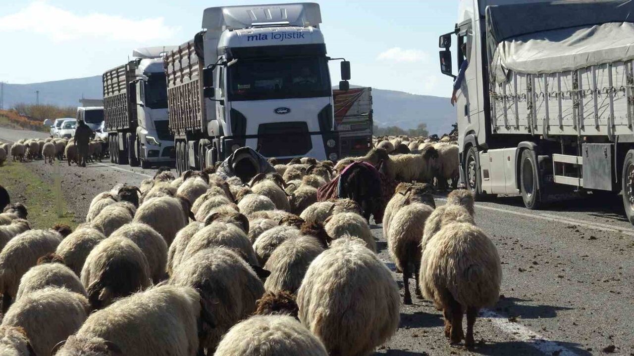 Gercüş’te göçerlerin göç yolculuğu: Van, Bitlis ve Erzurum'dan Nusaybin'e