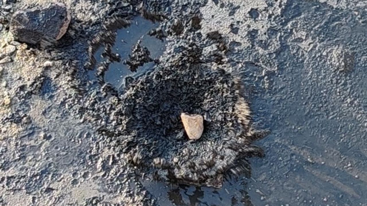 Gerede'de çevre davası yeniden görülecek: Ankara Bölge İdare Mahkemesi dosyayı Bolu'ya iade etti