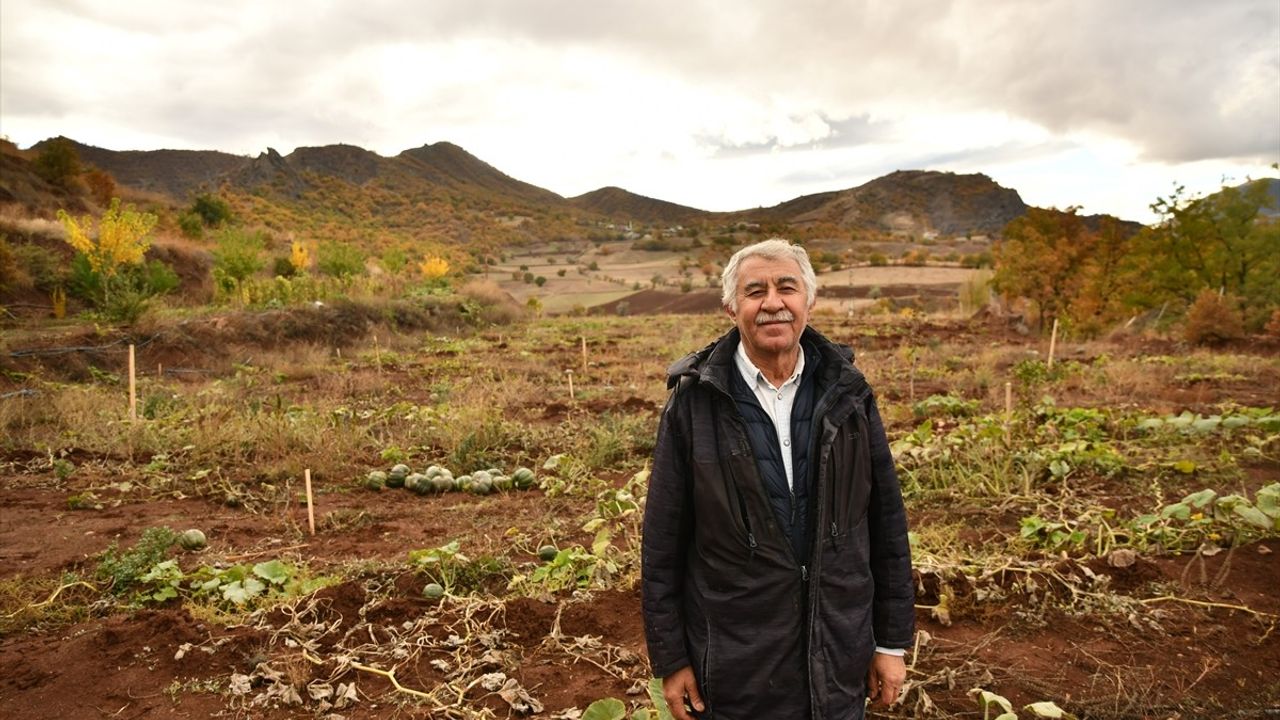 Giresun Şebinkarahisar'da emekli banka müdürü 16 dönümlük Antep fıstığı bahçesi kurdu