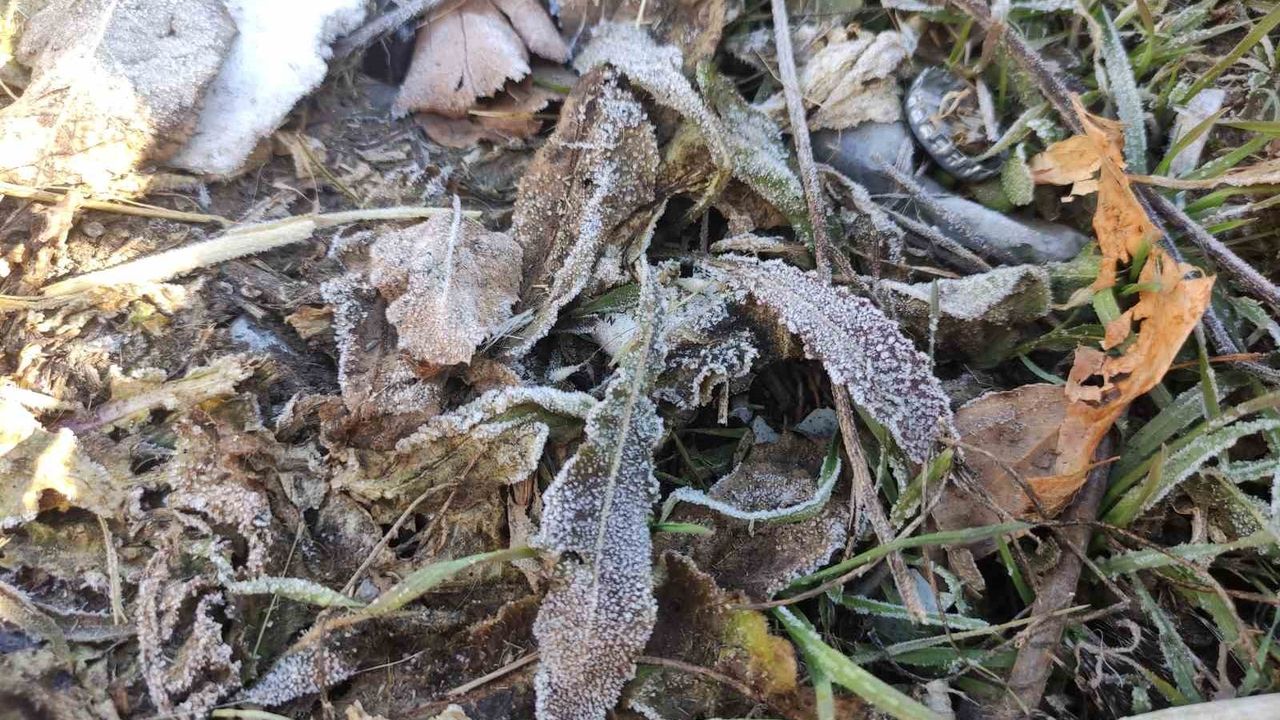 Göle ilçesi gece -6,4°C ile Türkiye'nin en soğuk yerleşimi oldu