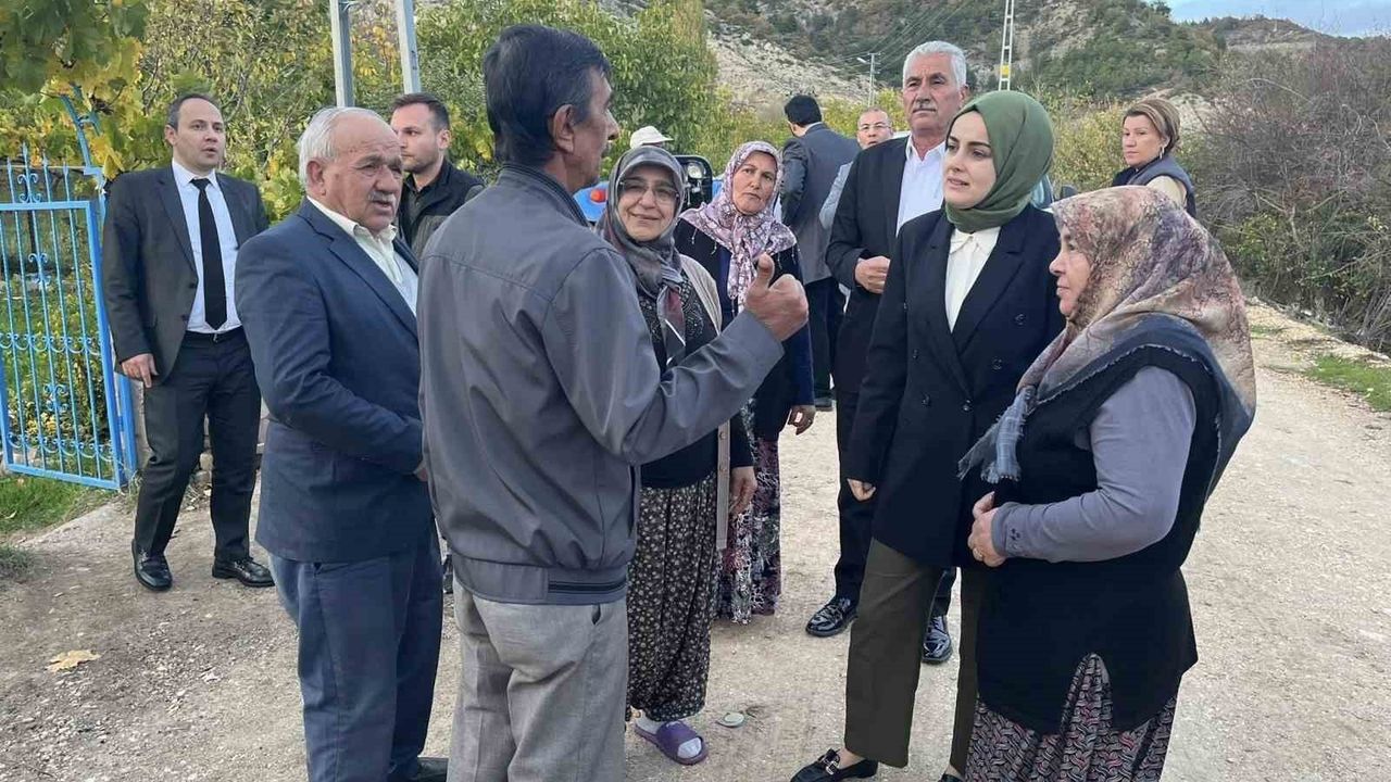 Gölpazarı Kaymakamı Feyza Nur Kılıç, Bedi ve Armutçuk Köylerini Ziyaret Etti