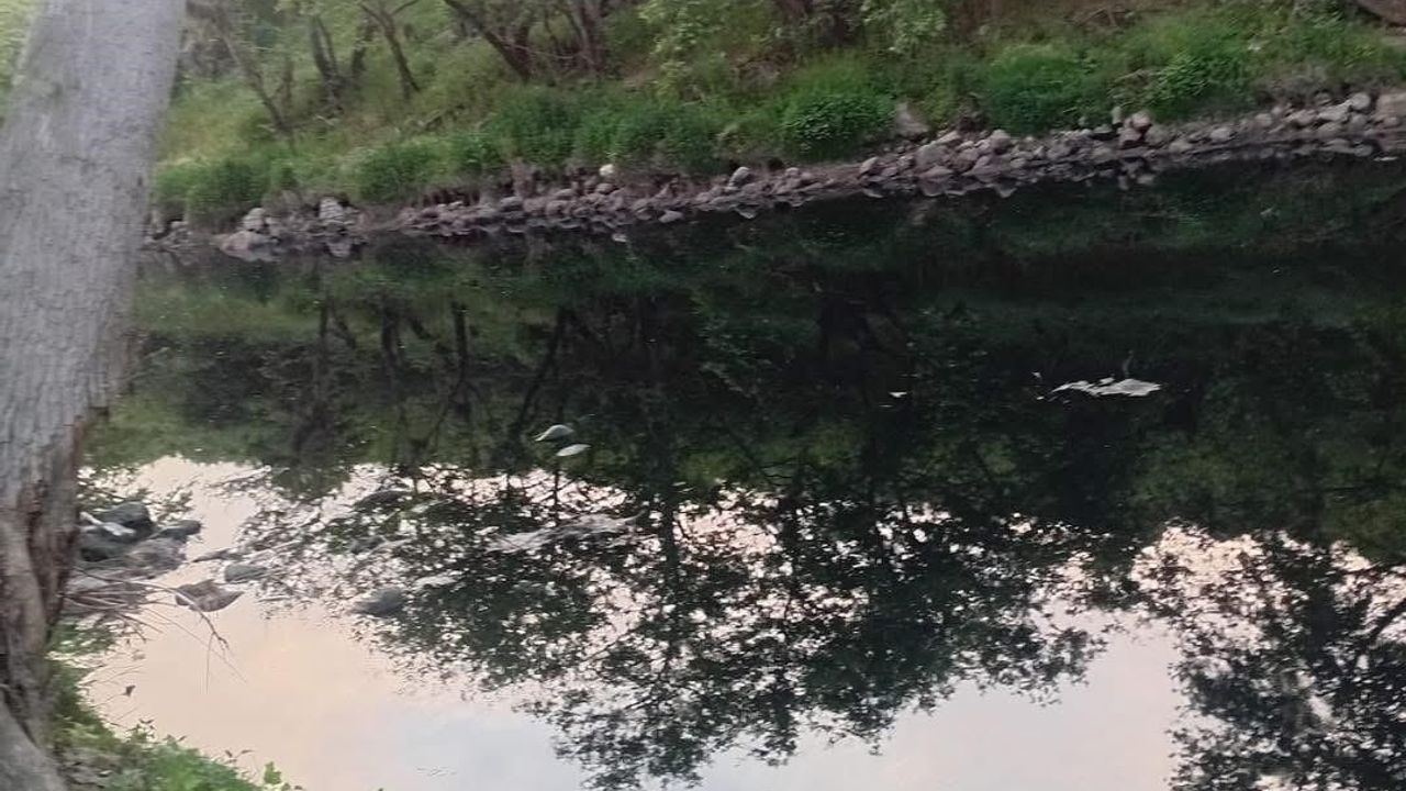 Gönen Çayı’nda kirlilik kritik seviyede: Üniversite ekiplerinden acil eylem çağrısı