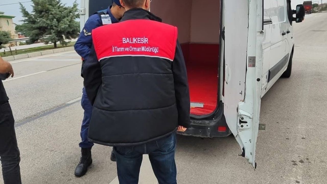 Gönen'de şap hastalığına karşı denetimler sıklaştırıldı