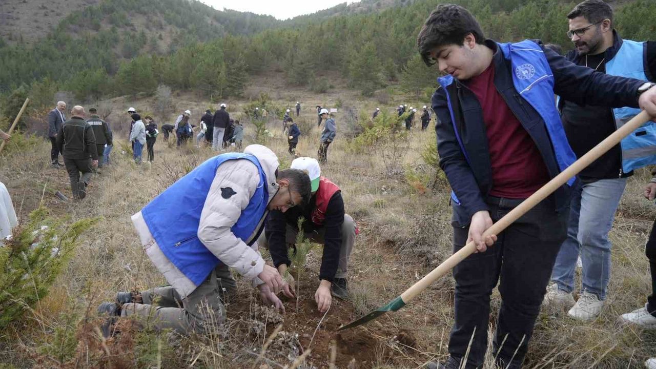 Gümüşhane'de 11 Kasım Milli Ağaçlandırma Günü'nde Sarıçam Fidanları Toprakla Buluştu