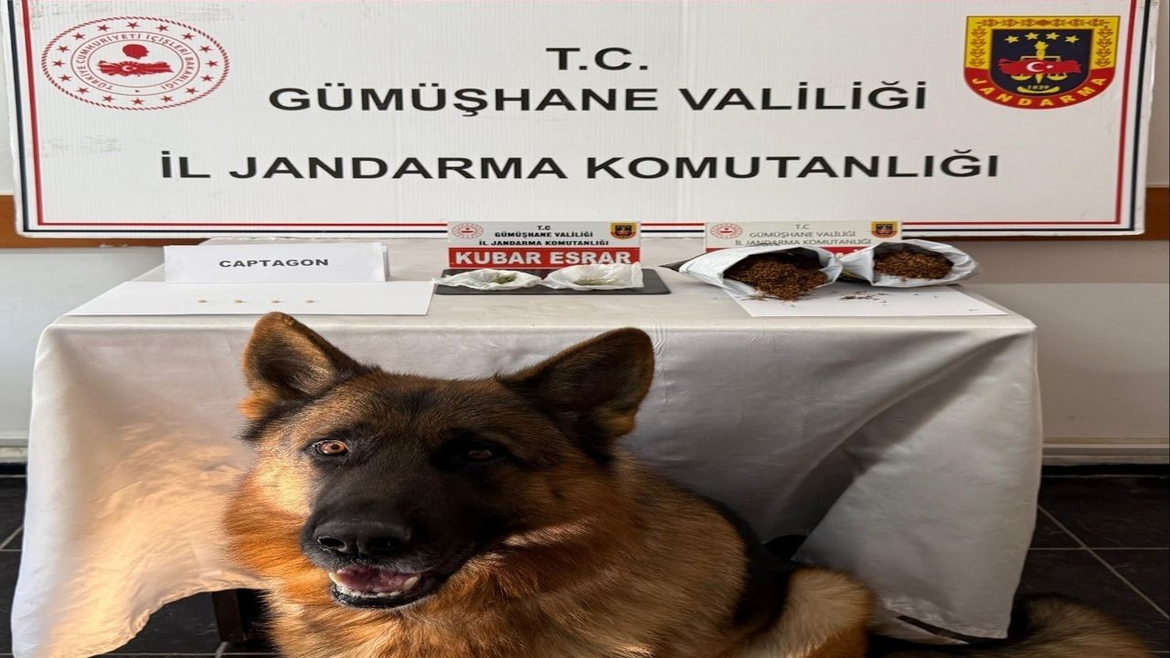 Gümüşhane'de jandarma uyuşturucu operasyonunda 4 kişi yakalandı