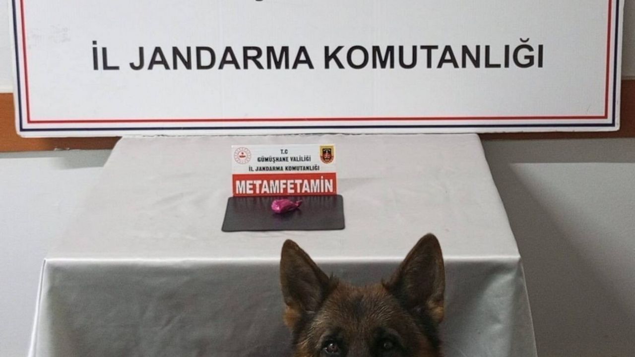Gümüşhane'de jandarmadan uyuşturucu operasyonu: 2 kişi yakalandı